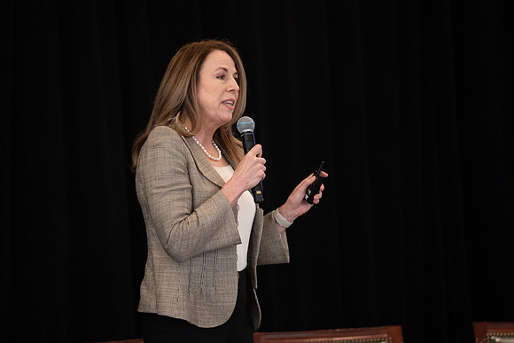 275 - Bridge Funding May 2024