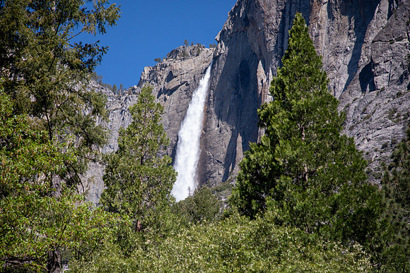 004 - Ansel Adams Stamp Ceremony