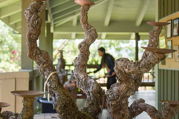 Alexander Valley Vineyards-23