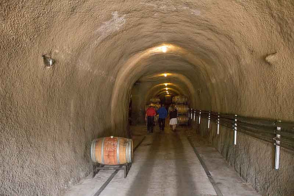 Alexander Valley Vineyards-28