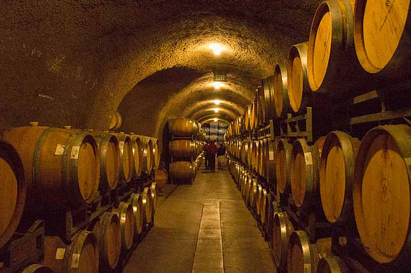 Alexander Valley Vineyards-30