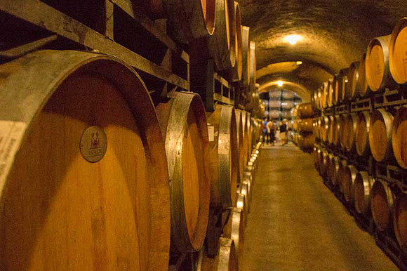 Alexander Valley Vineyards-32