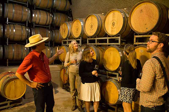 Alexander Valley Vineyards-33