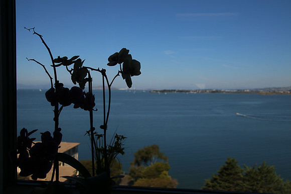 Open House-8
