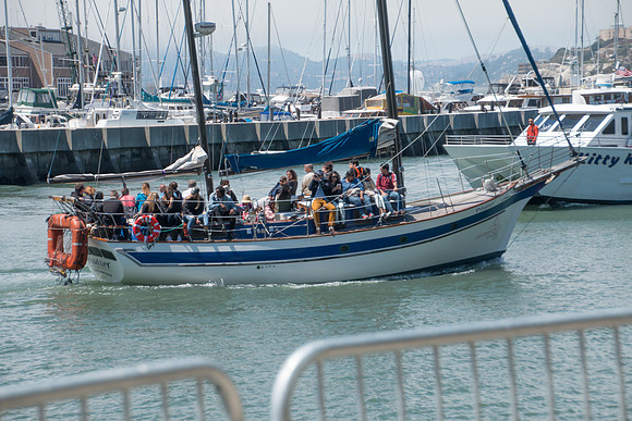511 - Strider Cup World Championships San Francisco