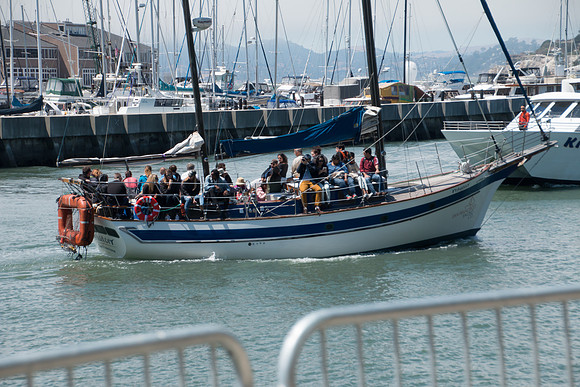 510 - Strider Cup World Championships San Francisco