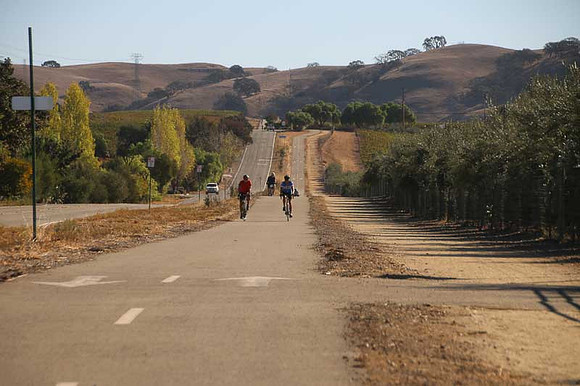 Sycamore Grove-28