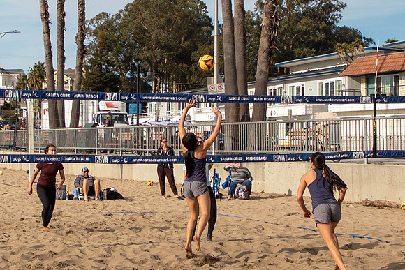 488   January Volleyball Tournament