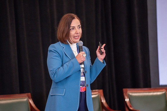 263 - Bridge Funding May 2024