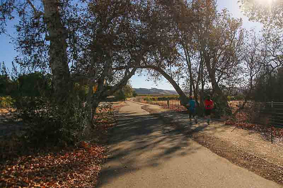 Sycamore Grove-17