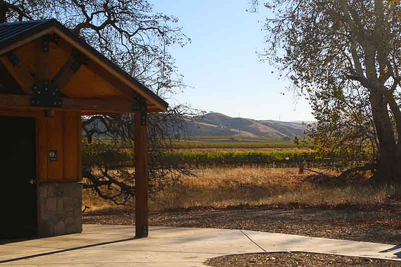 Sycamore Grove-4