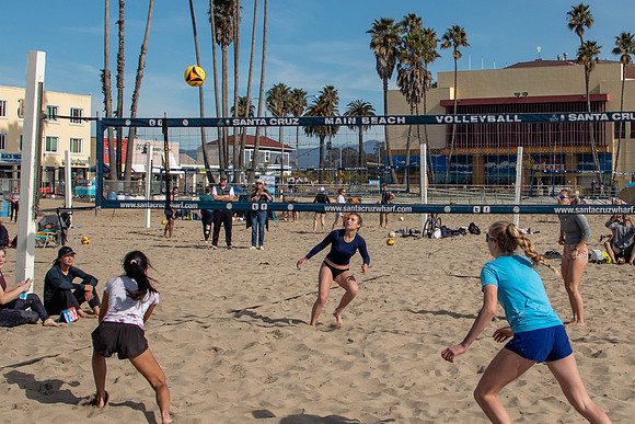342   January Volleyball Tournament