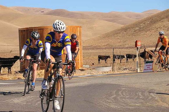 35-Mile Route-9