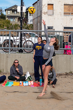250   January Volleyball Tournament