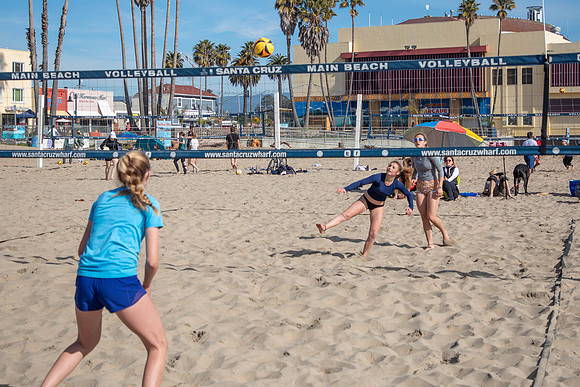 368   January Volleyball Tournament