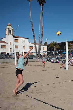 446   January Volleyball Tournament