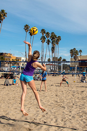 338   January Volleyball Tournament