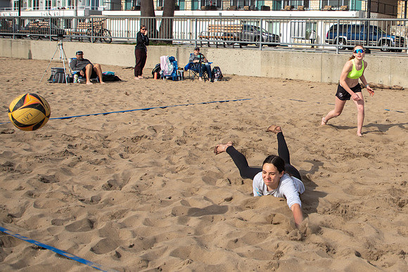 290   January Volleyball Tournament